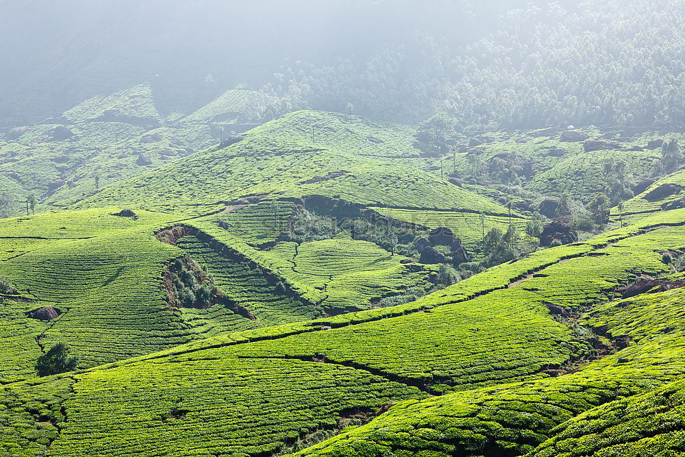 Similar – Image, Stock Photo behind the seven mountains