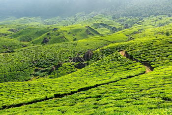 Image, Stock Photo siesta Vacation & Travel