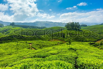 Similar – Image, Stock Photo good-night tea