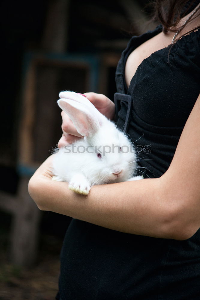 Similar – Girl cuddles with rabbit