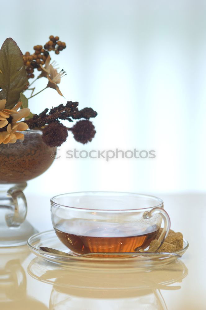 Similar – Image, Stock Photo Cup with hot herbal tea at window