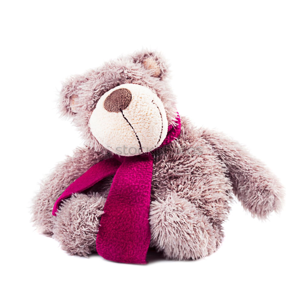 Similar – Image, Stock Photo teddy bear in a knitted multi-colored scarf