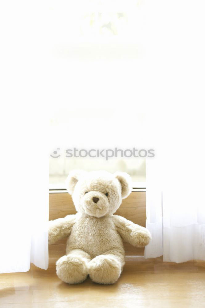 Similar – Teddy bear in a baby room