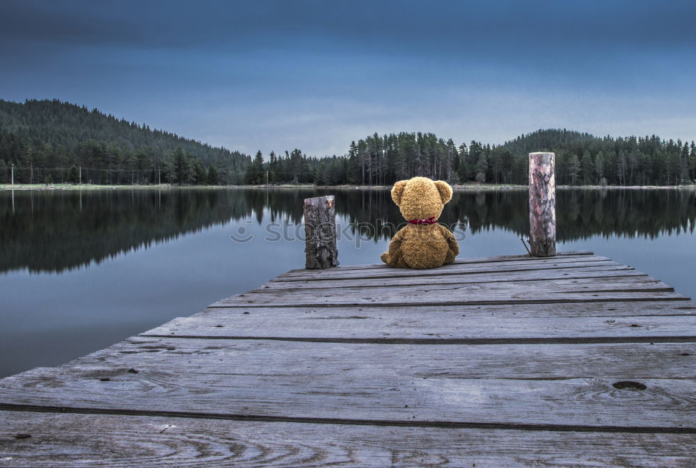 Similar – Image, Stock Photo In the peace lies the strength