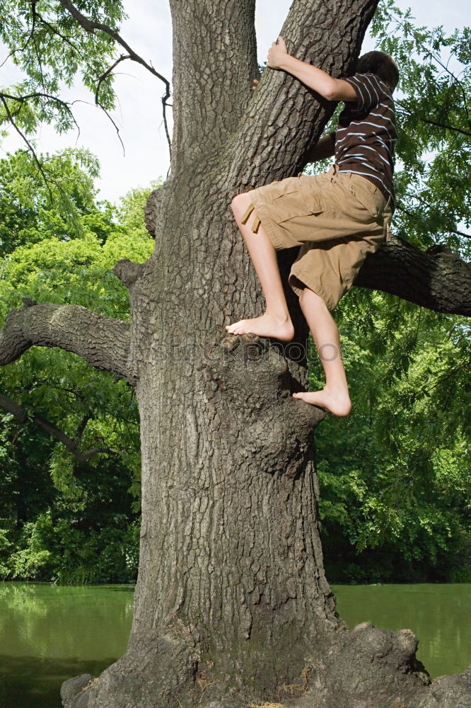 Similar – in the hanging garden Tree