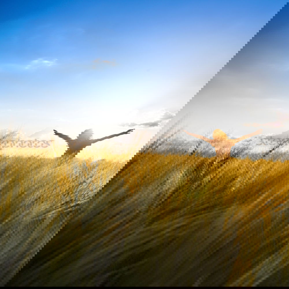 Similar – Image, Stock Photo Man jumping on sunny field