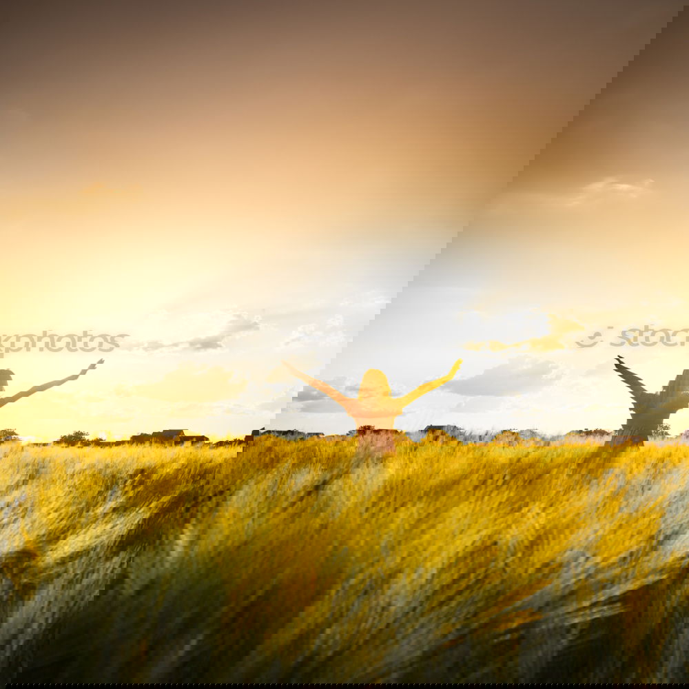 Similar – Image, Stock Photo Man jumping on sunny field