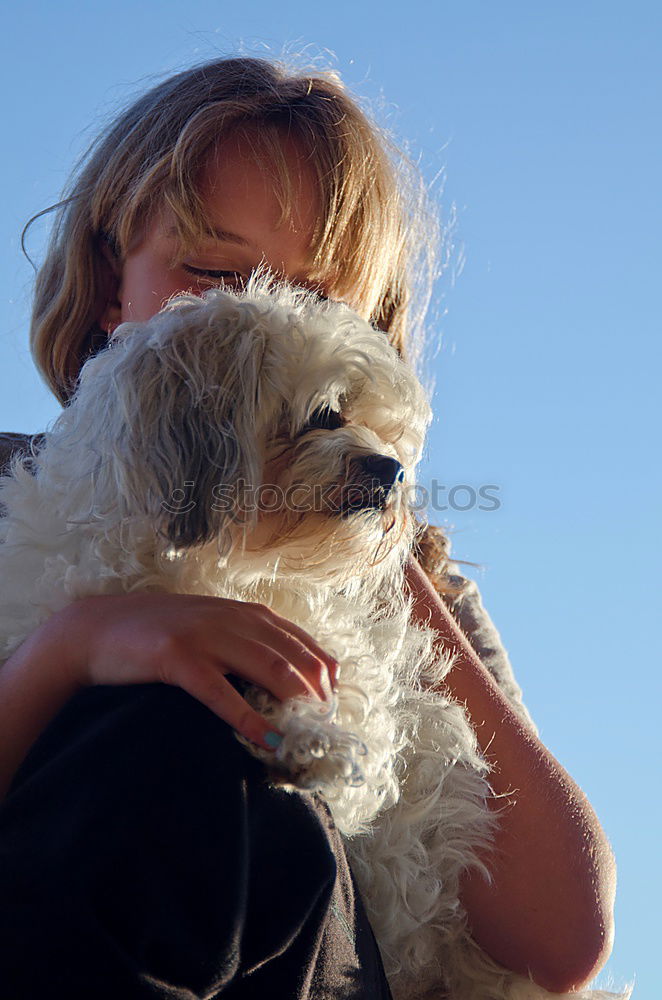 Similar – Foto Bild Schmusen. Hund Frau