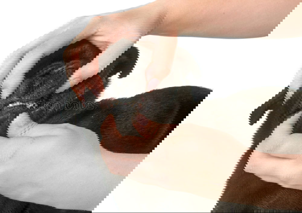 Similar – Foto Bild wenn die 5te Kerze brennt, hast du Weihnachten verpennt
