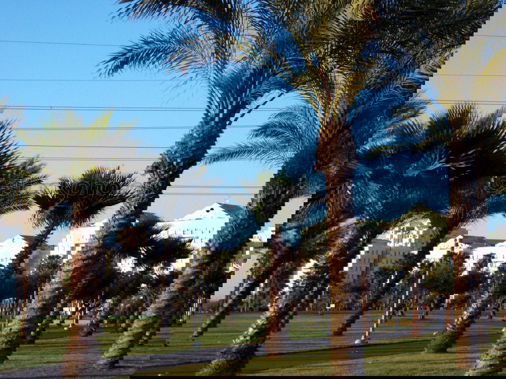 Similar – Foto Bild Kehma Natur