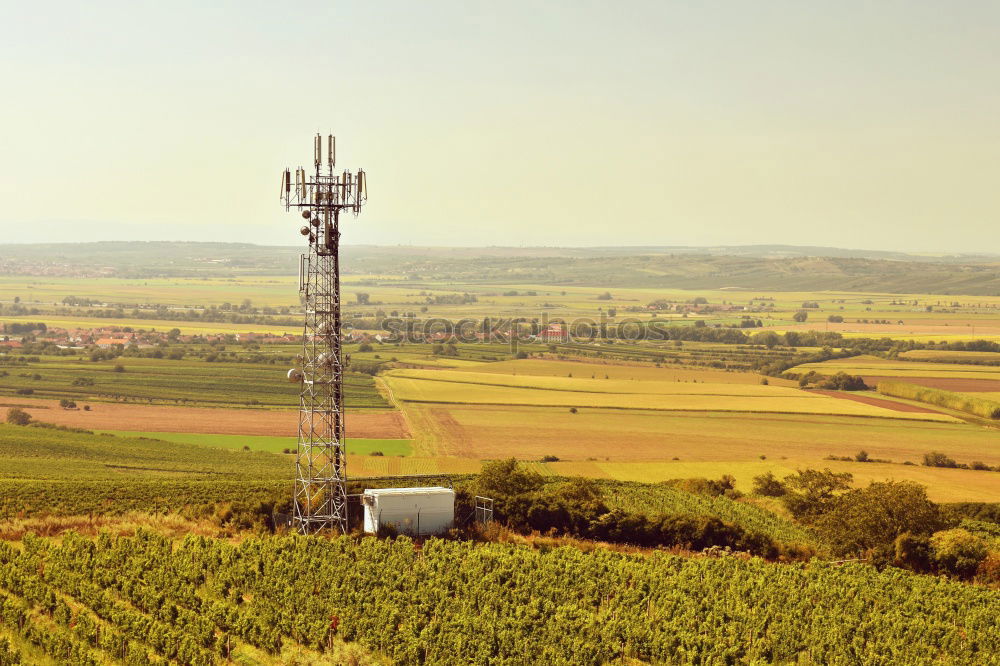 Similar – Image, Stock Photo Cuban Prairie