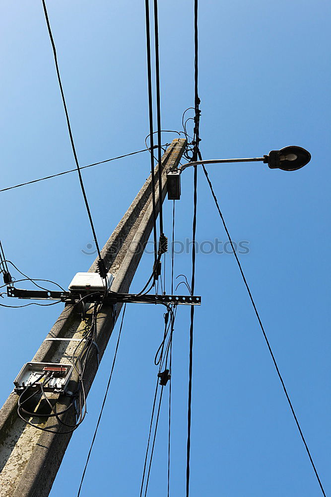 Similar – Mast tauchen