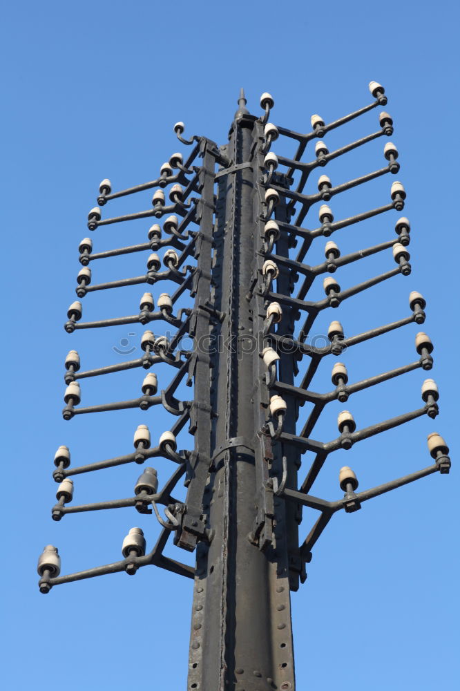 Similar – Image, Stock Photo Like sparrows Village