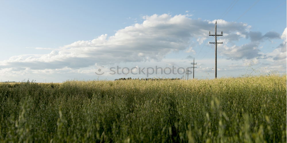 Similar – Image, Stock Photo Almost Neuschwanstein