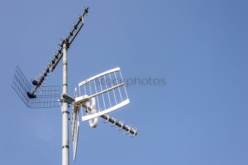 Similar – Image, Stock Photo air rat landing platform