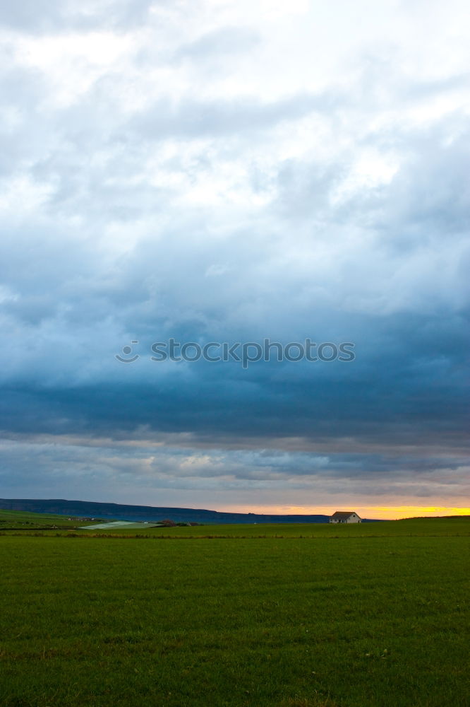 Green field in countryside