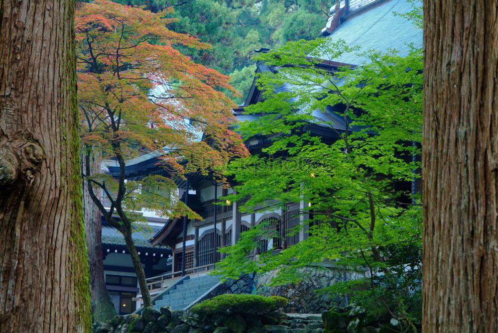 Similar – Image, Stock Photo Kiyomizu-dera Exotic