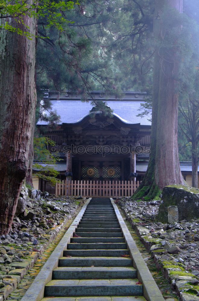 Similar – Image, Stock Photo in front of the pagoda 4/5