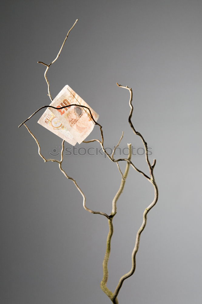 Similar – Image, Stock Photo Herbarium