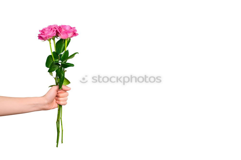 Image, Stock Photo Spring_08 Feminine