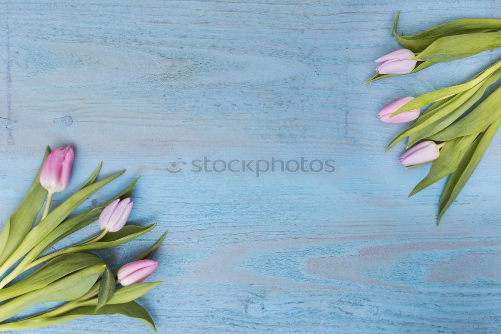 Similar – Image, Stock Photo bouquet of pink carnations with a paper tag