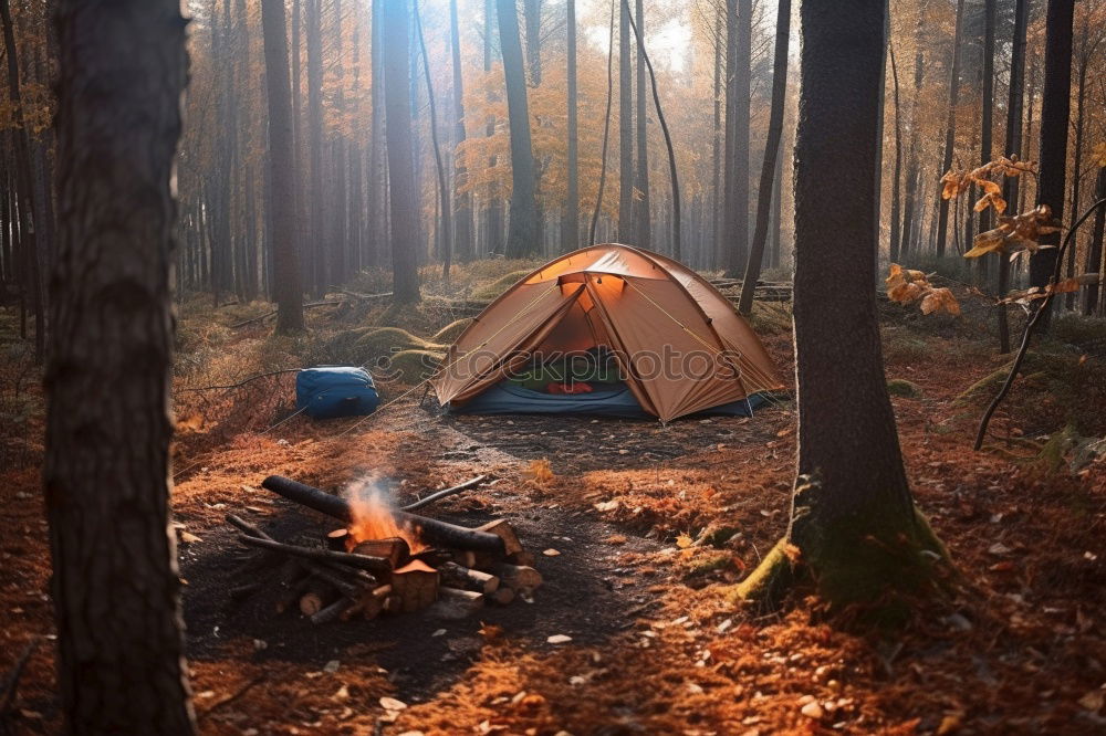 Similar – Image, Stock Photo Tent in the forest on sunlight.