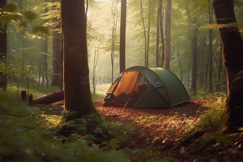 Similar – Image, Stock Photo Tent in the forest on sunlight.