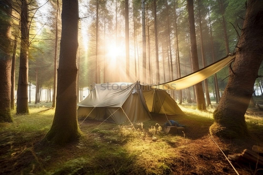 Similar – Image, Stock Photo Tent in the forest on sunlight.