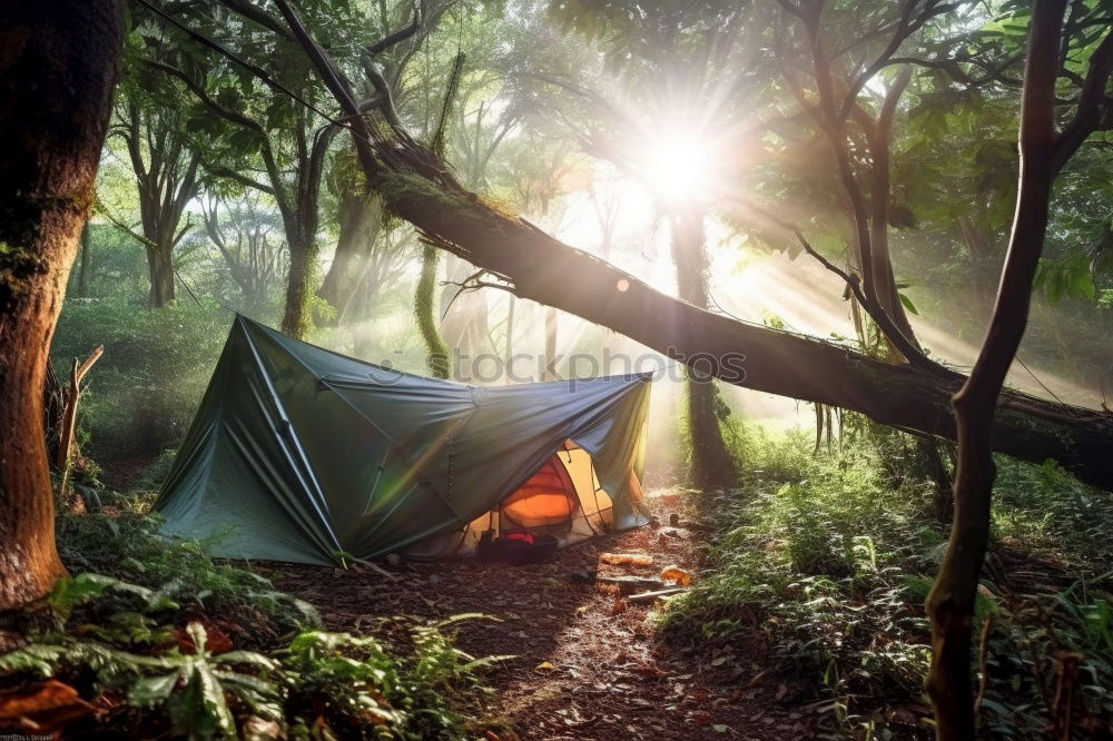 Similar – Image, Stock Photo Tent in the forest on sunlight.