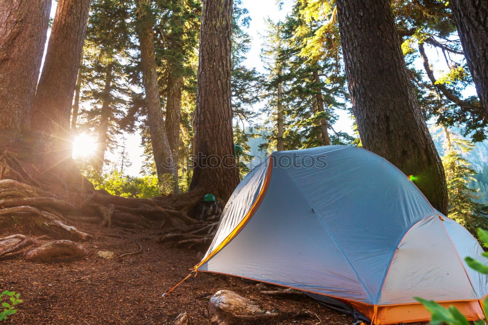 Similar – Image, Stock Photo Tent in the forest on sunlight