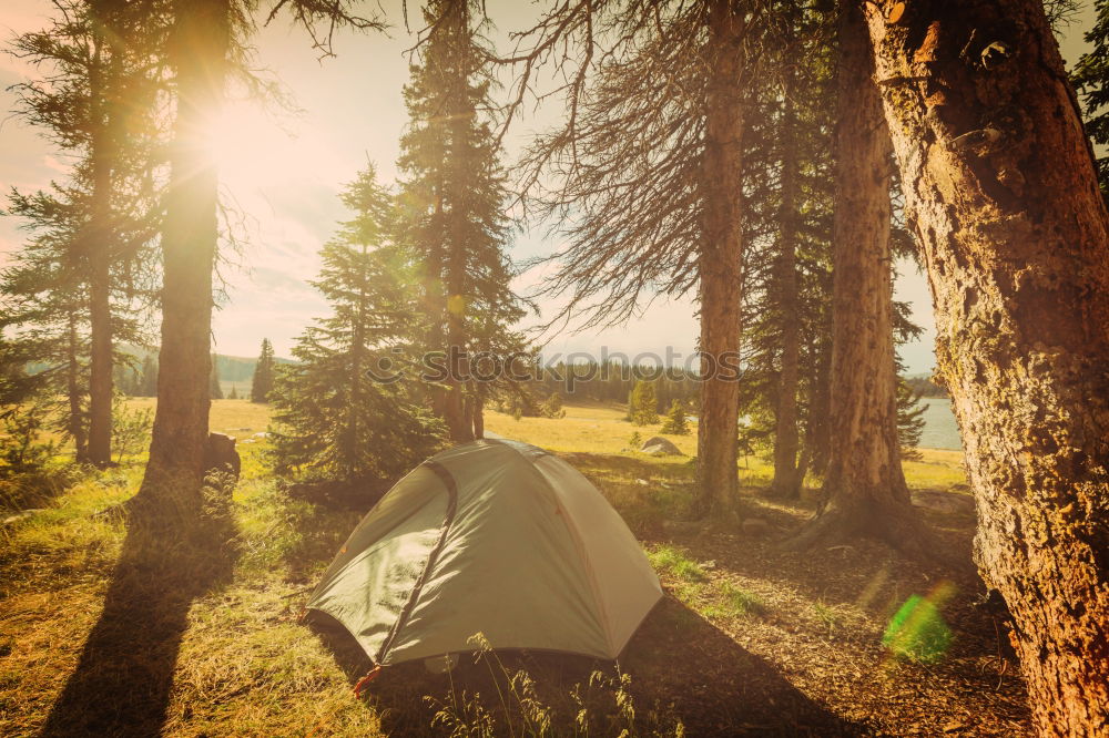 Similar – Image, Stock Photo Young woman near green tent and forest lake