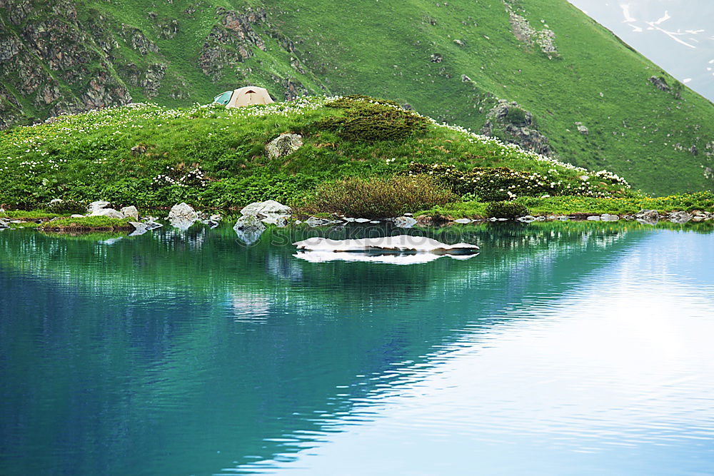 Similar – Foto Bild Wassermangel grasgrün See