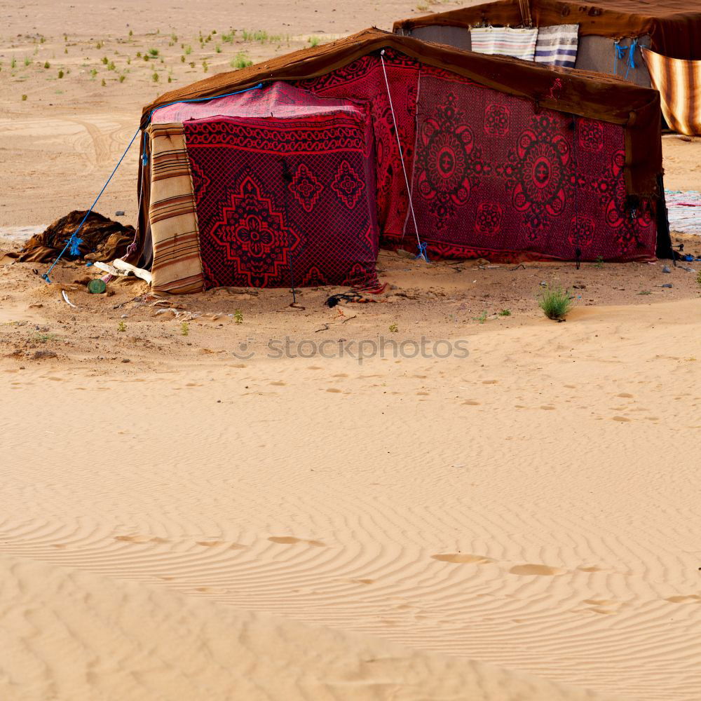 Similar – Foto Bild dinner for two Meer Strand