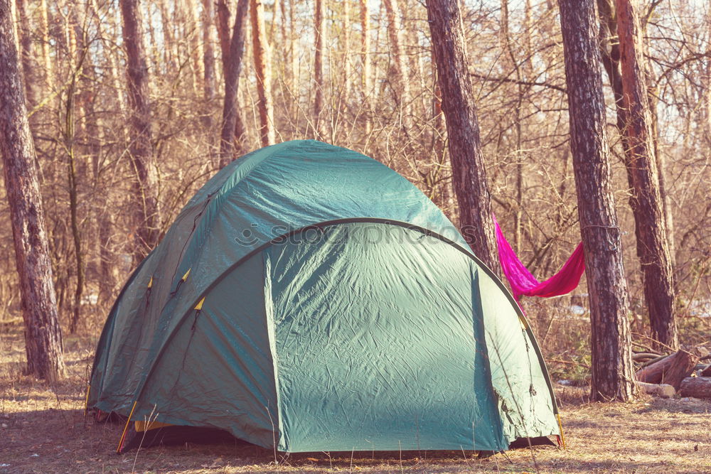 Similar – Orange tent in a pine forest