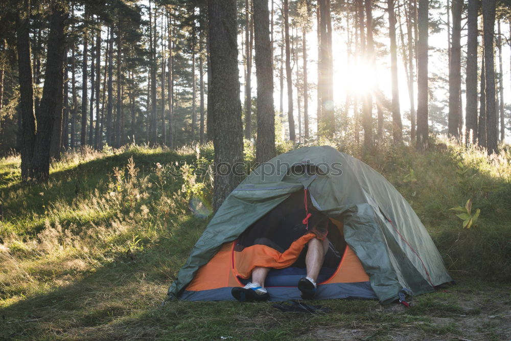 Image, Stock Photo Tent in the forest on sunlight.