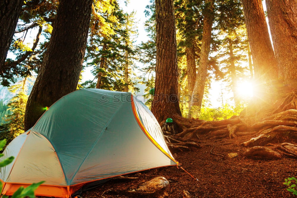 Similar – Image, Stock Photo Tent in the forest on sunlight