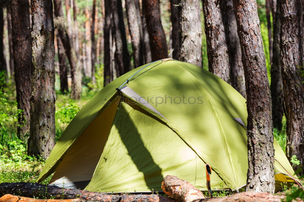 Similar – Orange tent in a pine forest