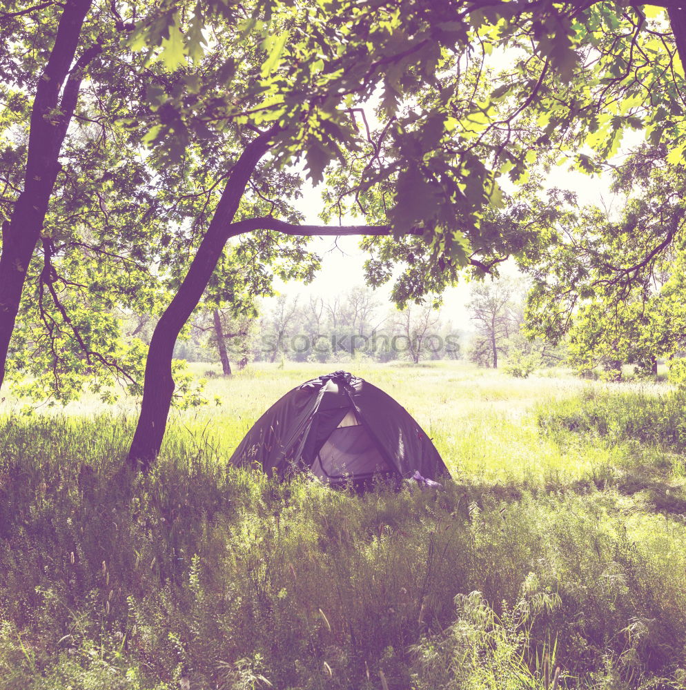 Similar – Orange tent in a pine forest