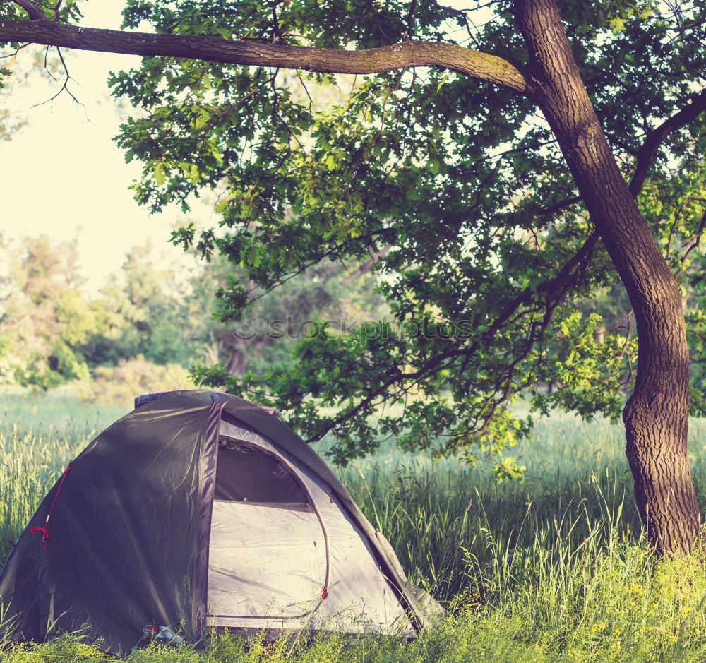 Similar – Orange tent in a pine forest