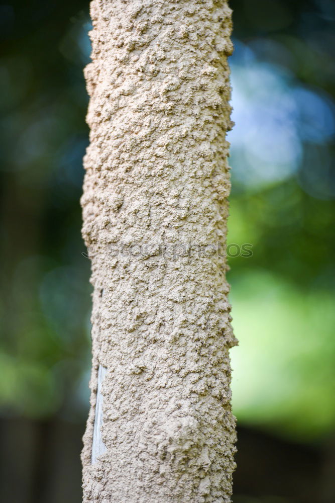 Similar – Foto Bild Brunnen frisch Unschärfe