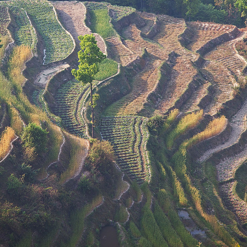 Similar – Seen Natur Landschaft Erde