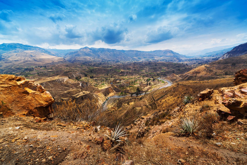 Similar – Image, Stock Photo Green snake Environment