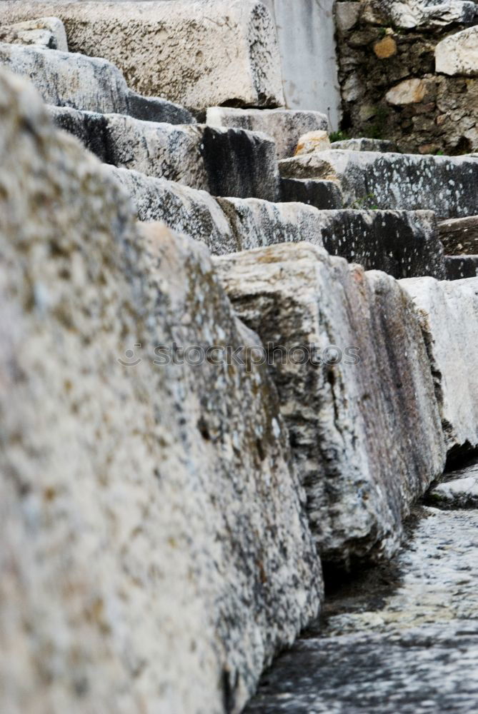 Similar – Foto Bild suchbild oder die katze auf dem (heißen blech)dach
