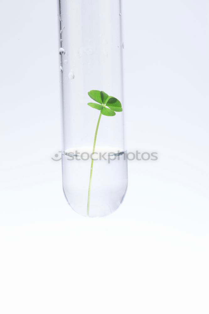 Similar – Image, Stock Photo Water bottle with green leaves