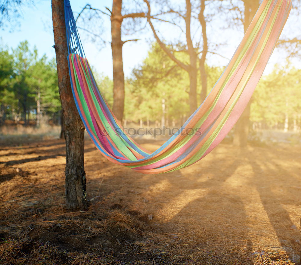 Similar – Image, Stock Photo pZ3 l Drying laundry on the clothesline