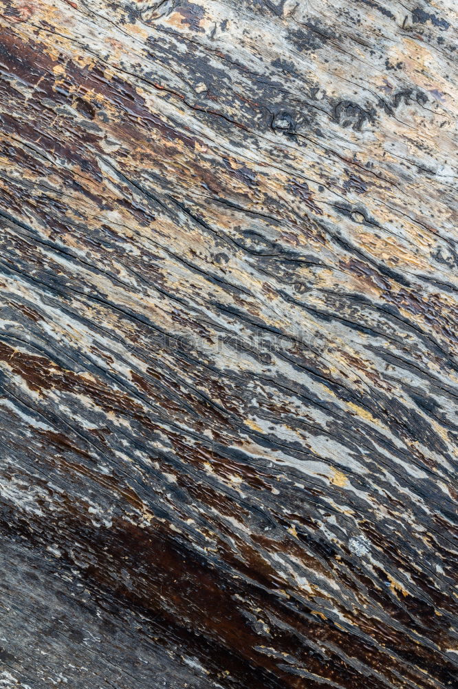 Sedimentary rocks texture