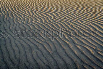 Similar – Image, Stock Photo Snow dunes on Rügen