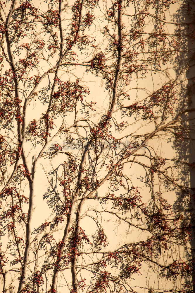 Similar – Image, Stock Photo The Past. Art Work of art