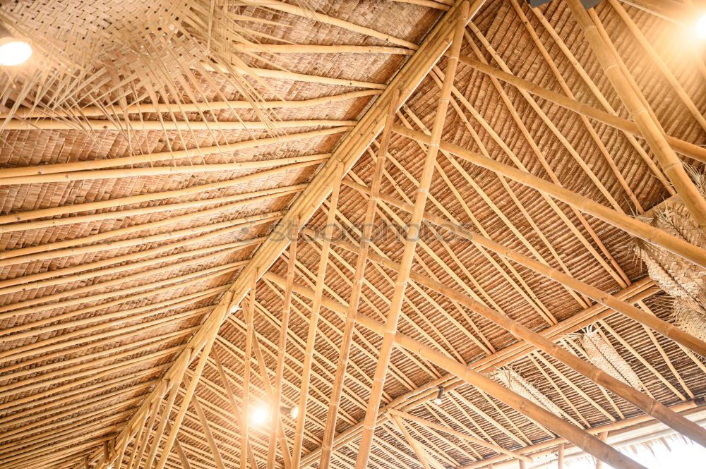 Similar – cupola Domed roof Wood