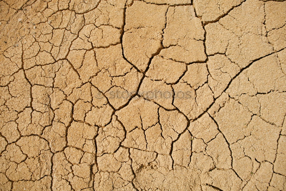 Similar – Image, Stock Photo Mini Grand Canyon Dry